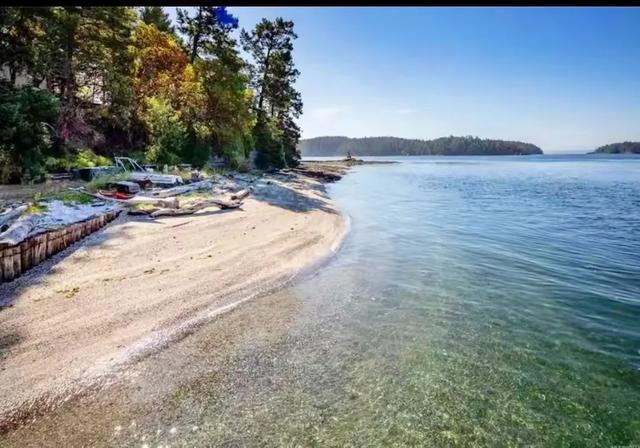 岛屿出售——温哥华 Pym Island 岛 ，700万加元-8.jpg