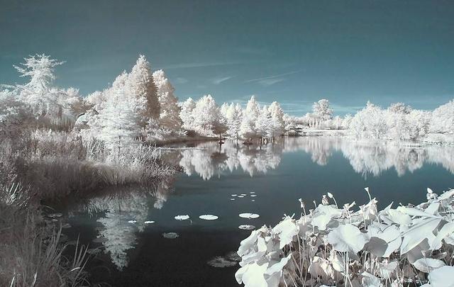 《雪之画卷：邂逅世间最美雪景》-2.jpg