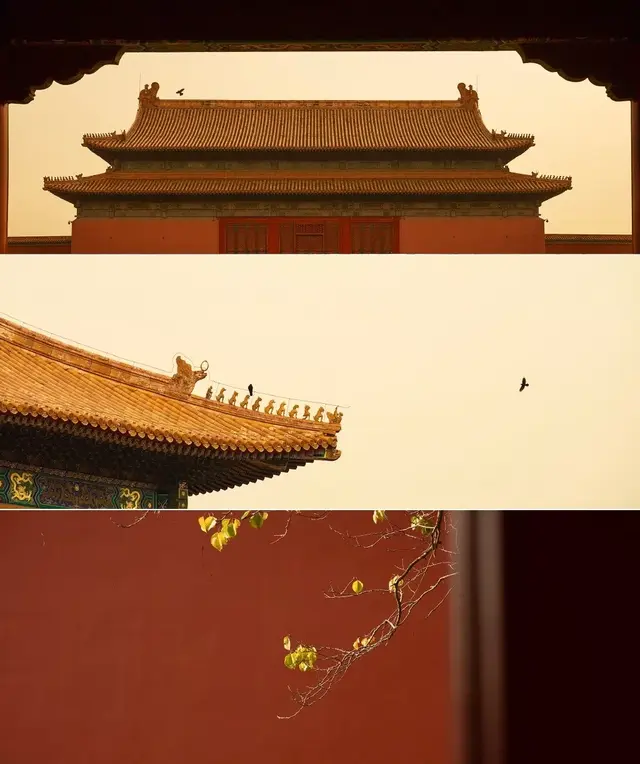 这几位摄影师镜头下的故宫，美得不像话-38.jpg