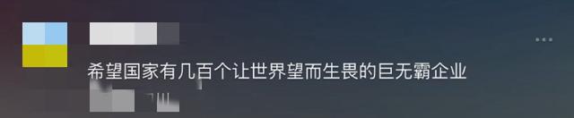中国最有可能成为世界级巨头的十家公司！1、比亚迪，2、大疆-12.jpg