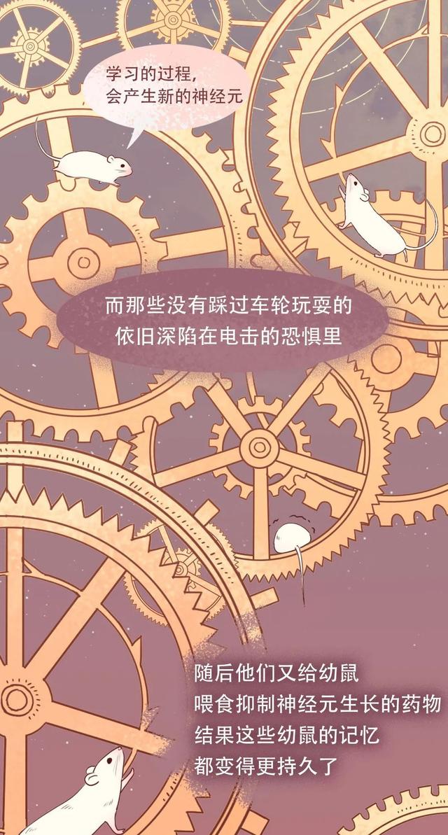 大脑为什么要删除你 2 岁前的记忆？原因竟然是……-6.jpg