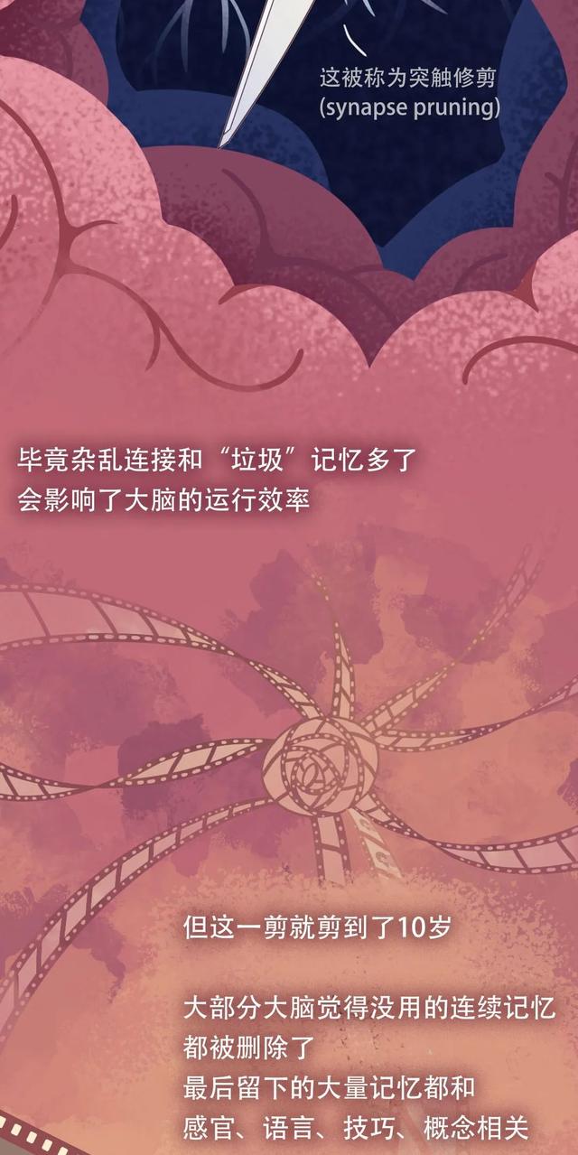 大脑为什么要删除你 2 岁前的记忆？原因竟然是……-13.jpg