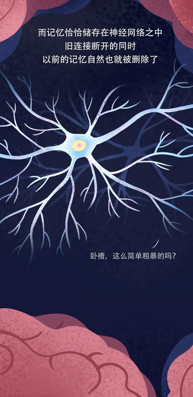 大脑为什么要删除你 2 岁前的记忆？原因竟然是……-9.jpg