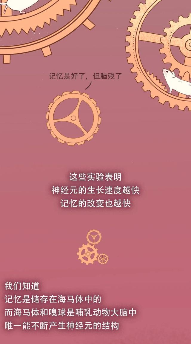 大脑为什么要删除你 2 岁前的记忆？原因竟然是……-7.jpg