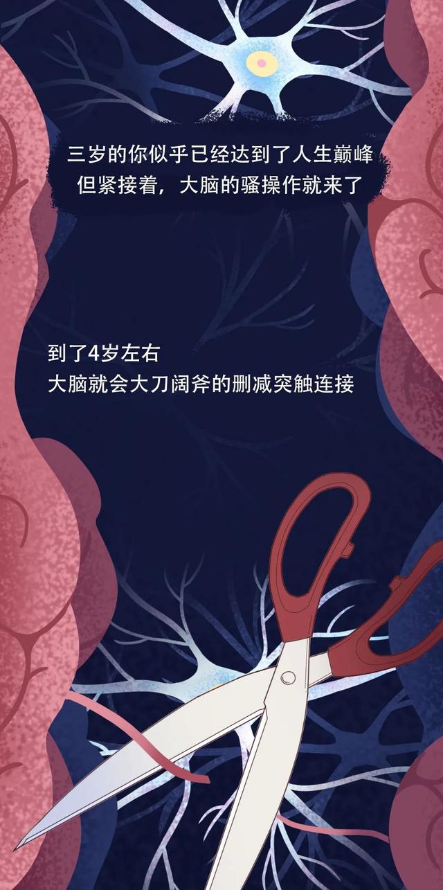 大脑为什么要删除你 2 岁前的记忆？原因竟然是……-12.jpg