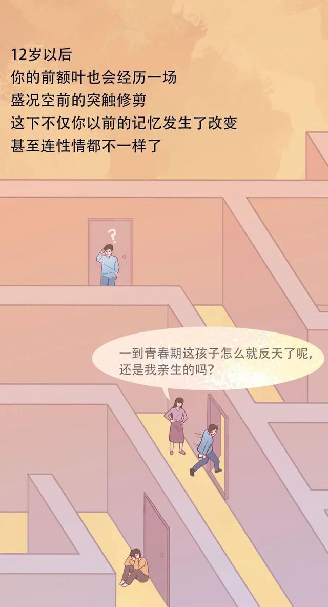 大脑为什么要删除你 2 岁前的记忆？原因竟然是……-16.jpg