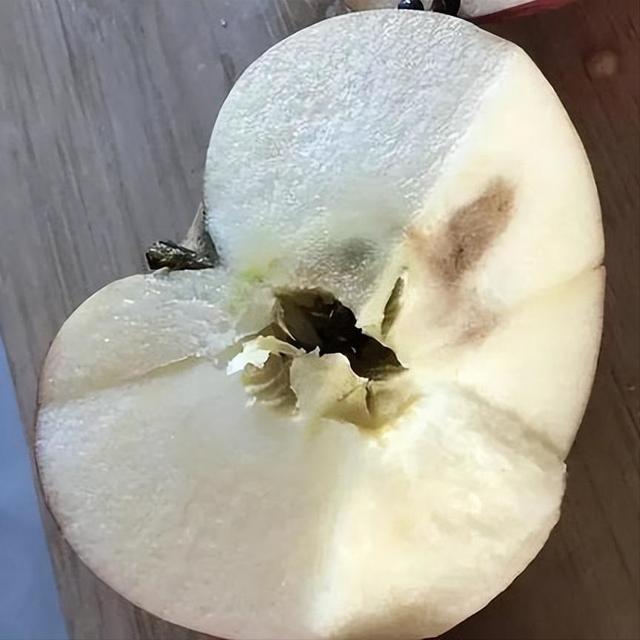 苹果烂了一小块，削掉以后，剩下部分到底能不能吃？看完涨知识了-5.jpg