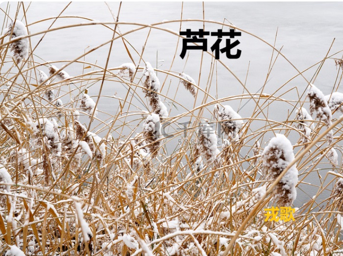 无标题.jpg