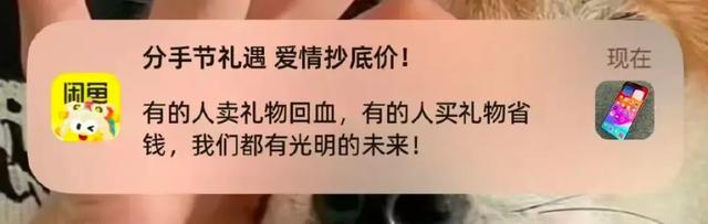 闲鱼成为“中国暗网”？笑死在网友评论区！-10.jpg