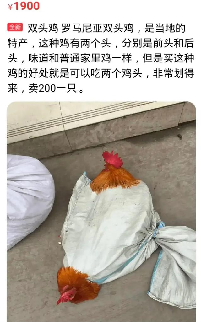 闲鱼成为“中国暗网”？笑死在网友评论区！-19.jpg