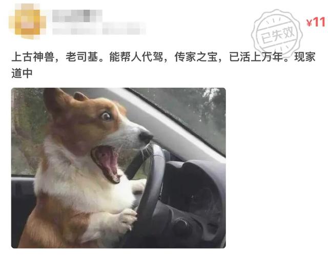 闲鱼成为“中国暗网”？笑死在网友评论区！-24.jpg