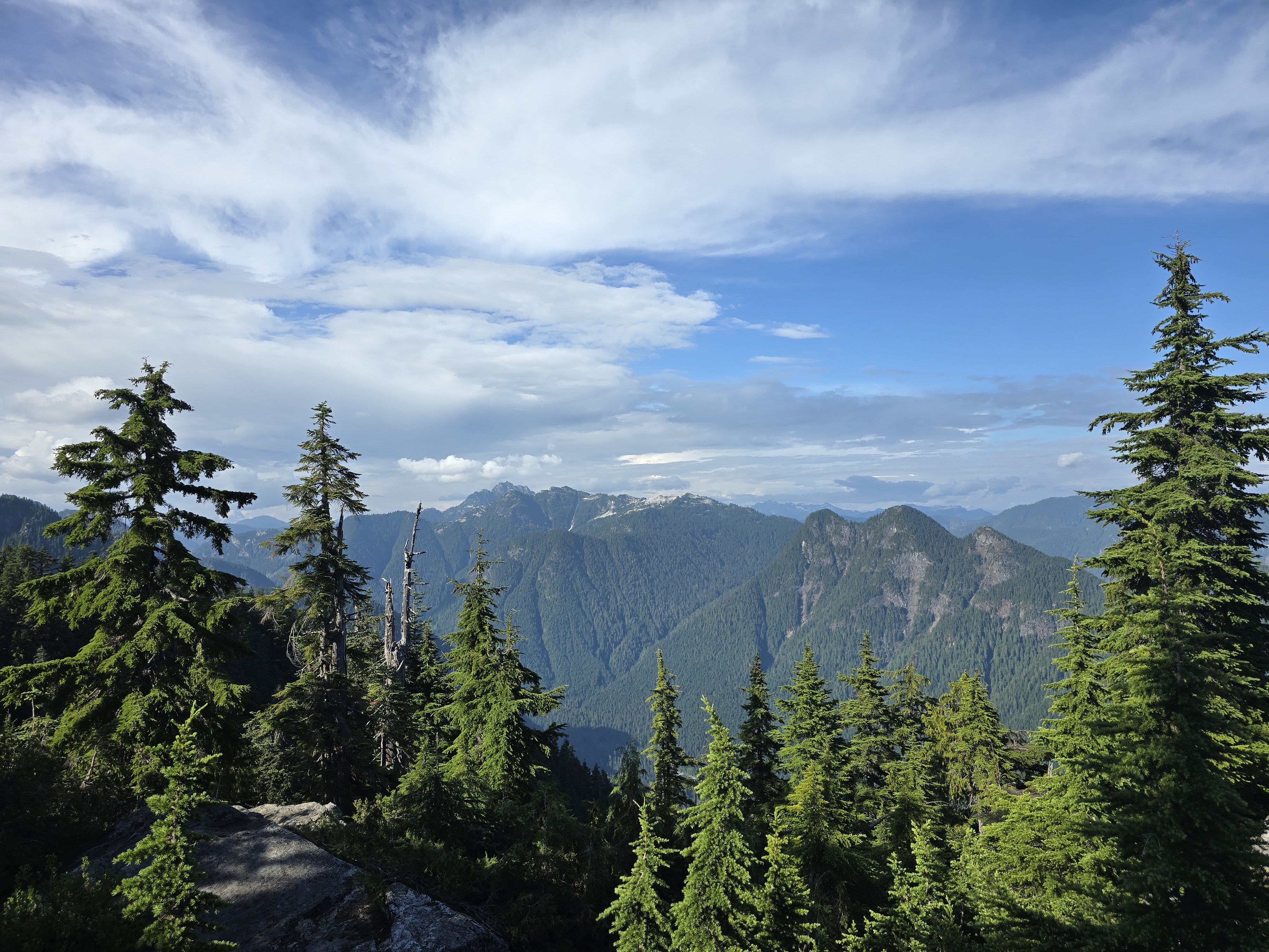21510257-A75C-4EAD-AAC0-79A84B03C1AE.jpeg