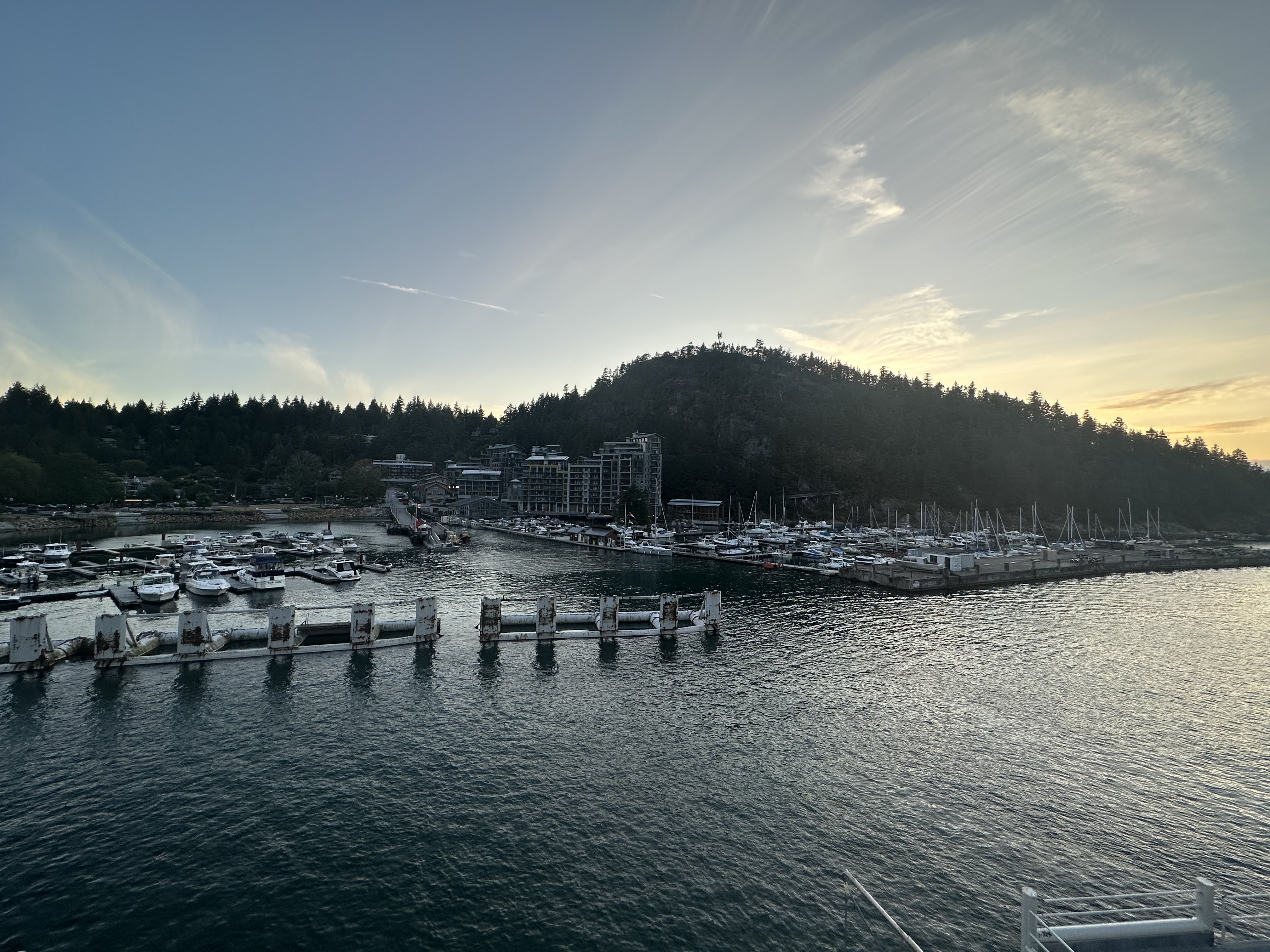 6B20F595-D5FF-41B0-A550-C8D75B9DF9CE.jpeg