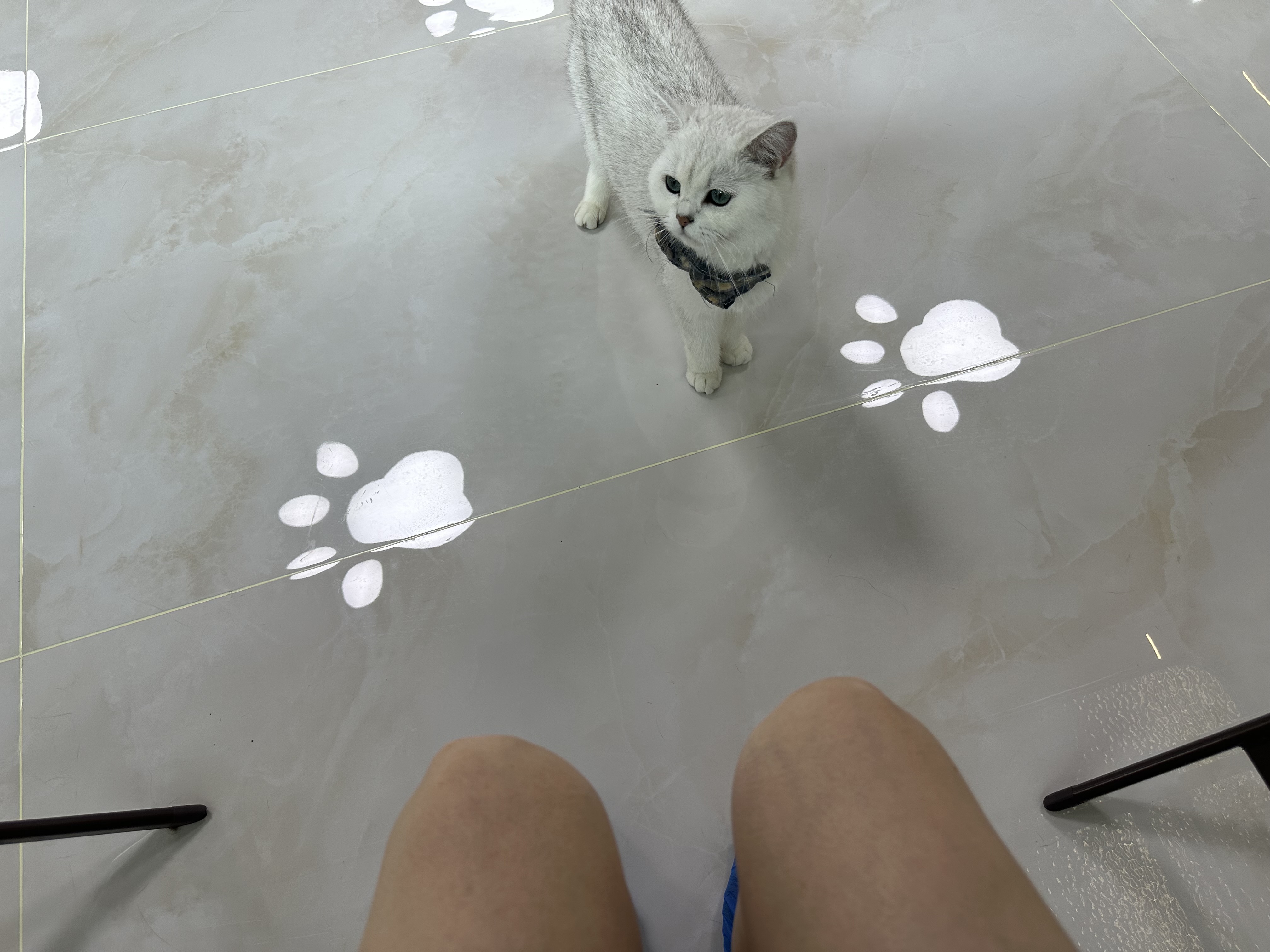 IMG_0343.jpeg
