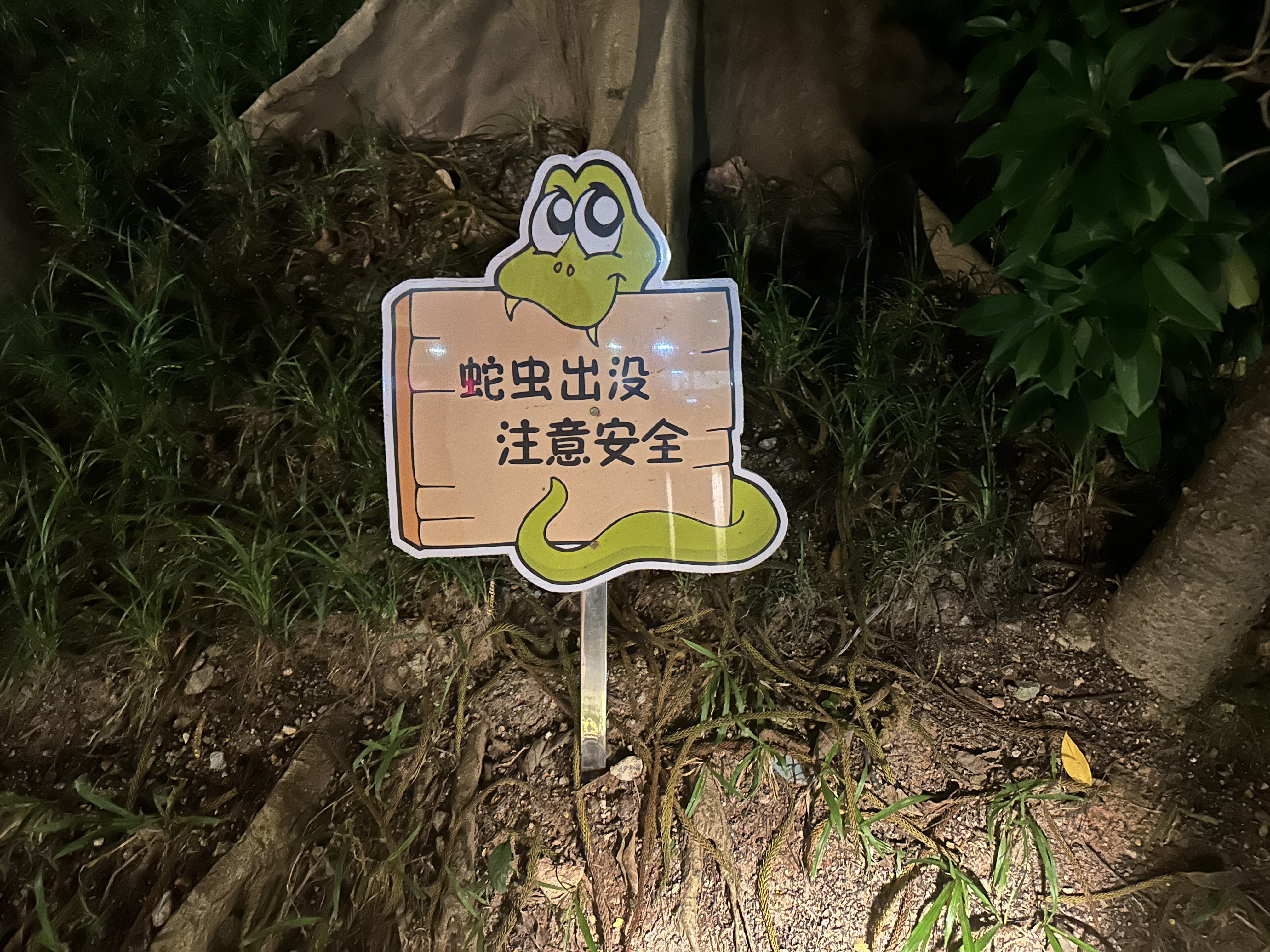IMG_1091.jpeg