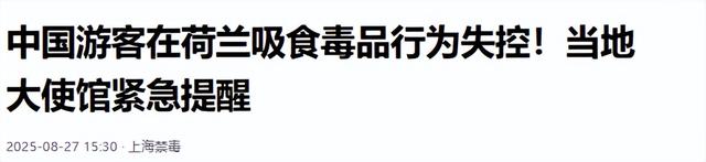 大麻合法、性交易开放，手握全球芯片命脉，这个国家颠覆你的认知-18.jpg