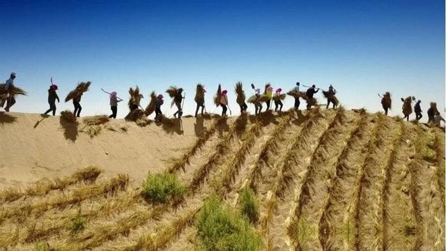 西方媒体：中国不可怕，可怕的是中国已成第一个能消灭沙漠的国家-4.jpg