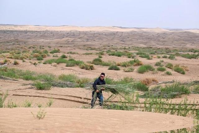 西方媒体：中国不可怕，可怕的是中国已成第一个能消灭沙漠的国家-8.jpg