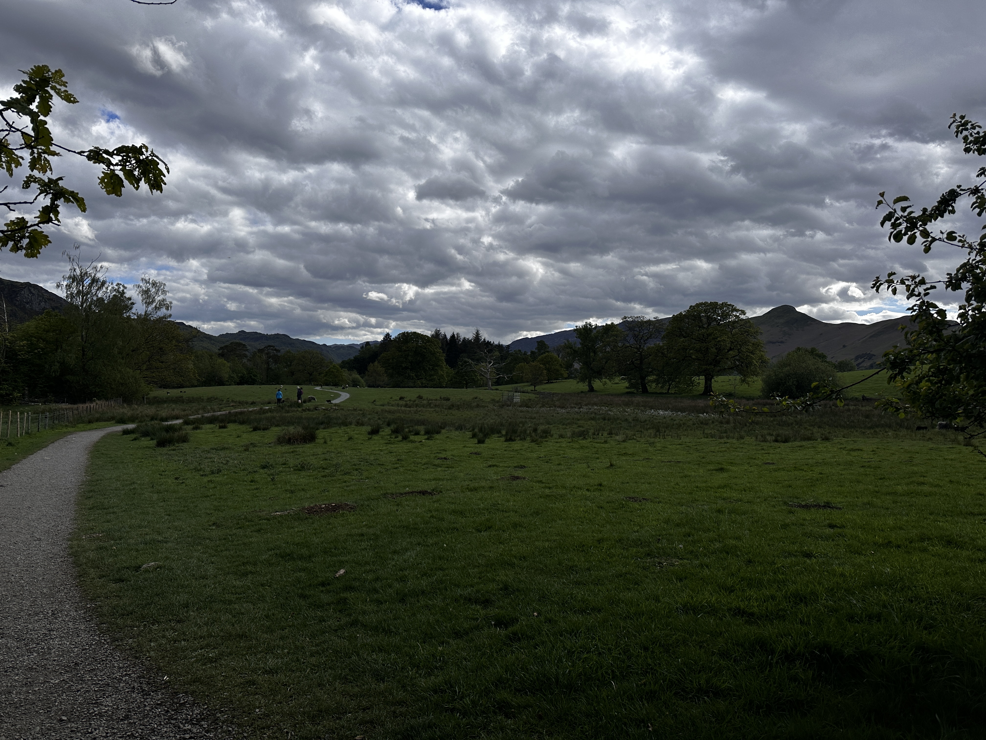 IMG_3696.jpeg