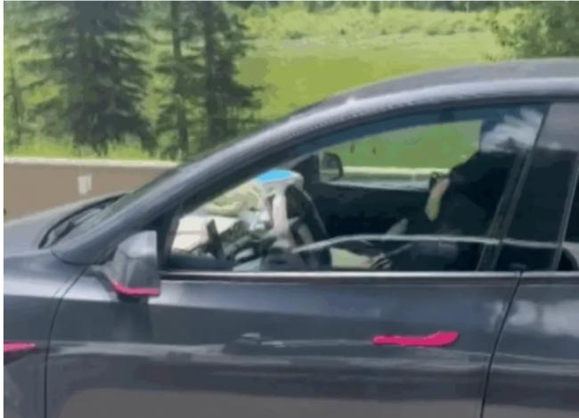 driver.jpg