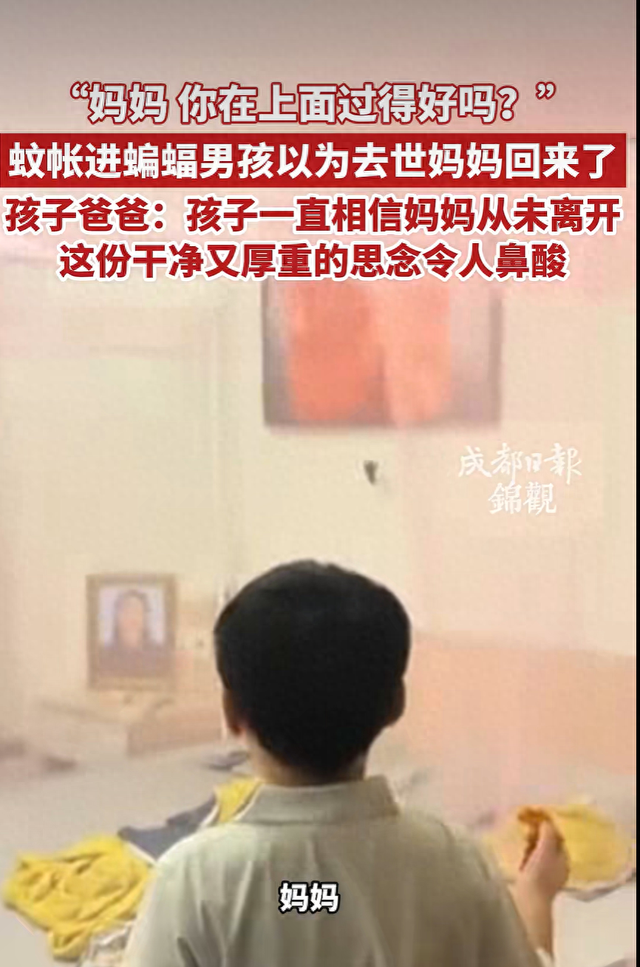 广东一男孩母亲因病去世已经两年，考完试回家刚好撞见蚊帐内飞进一只蝙蝠，立刻轻声询问，是不是妈妈回来看自己：妈妈，你在上面过得好吗-1.jpg