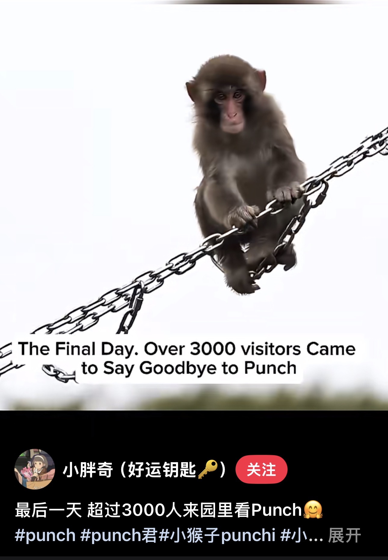IMG_4893.jpeg